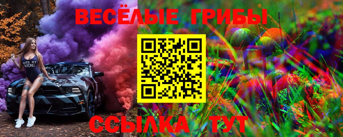 Галлюциногенные грибы Psilocybe Гусев