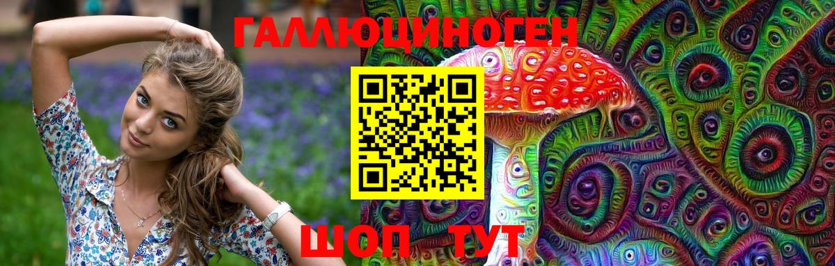 Галлюциногенные грибы Psilocybine cubensis  где найти   Гусев  Вход с VPN 